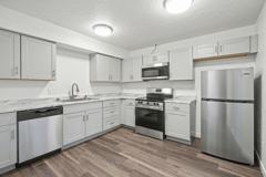 Four Horses - Photo 1 of 1