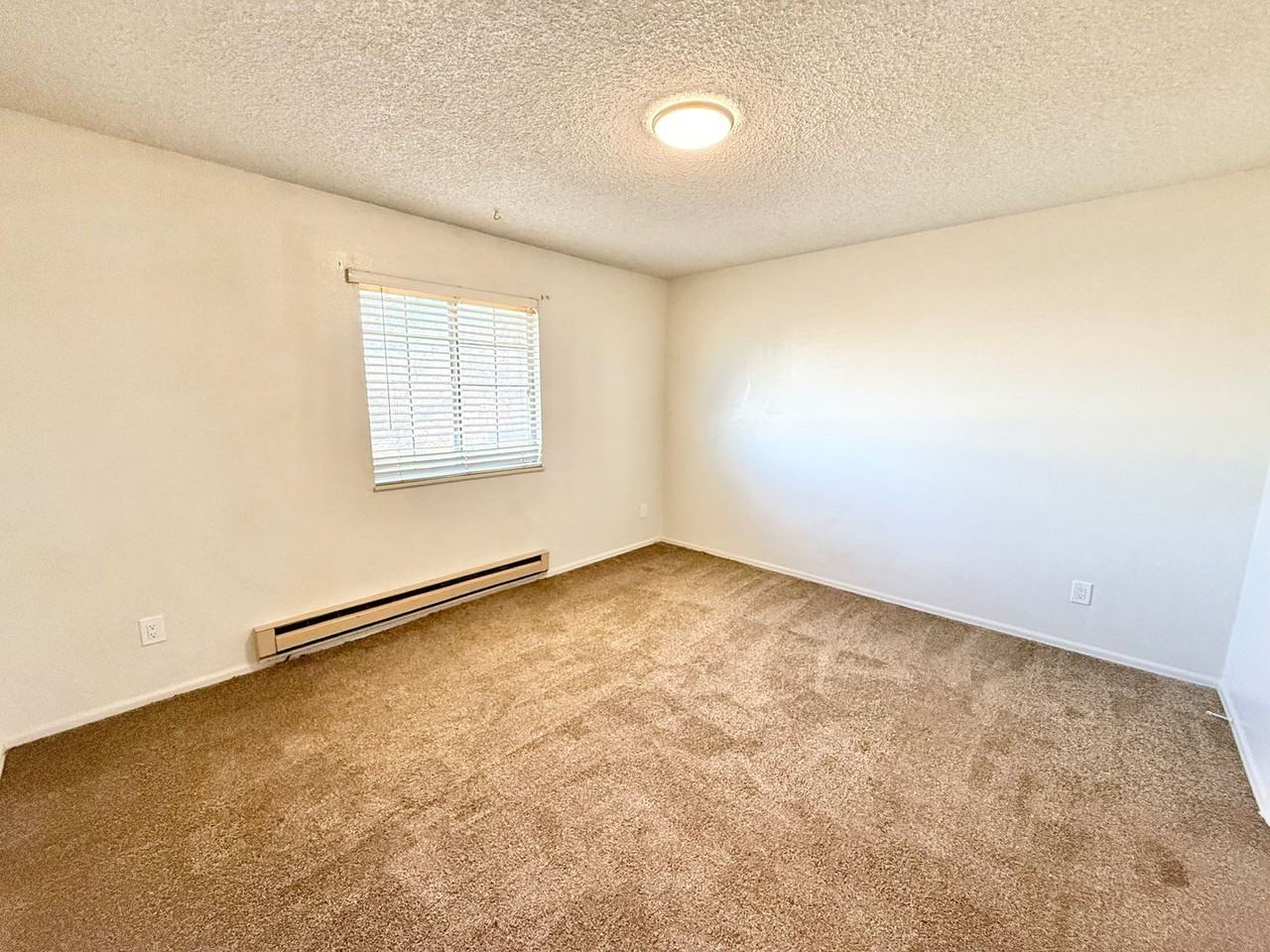 87 Castle Royal Dr - Photo 7 of 14