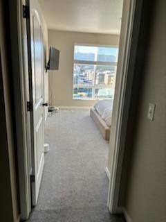 11254 Modern Meadow Loop #1 - Photo 6 of 11