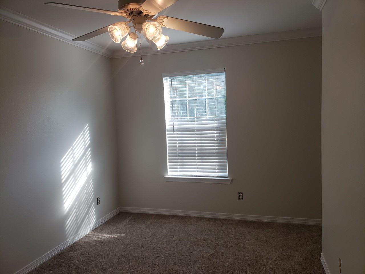 1301 Treasure Cv #1301 - Photo 4 of 14