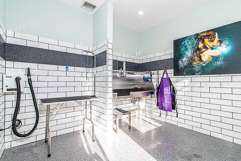 Bristol Commons - Photo 6 of 44