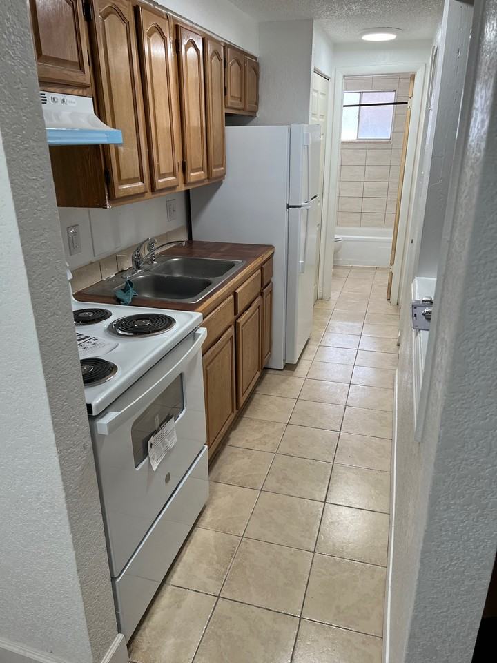 1325 Idalia Court - Photo 3 of 50