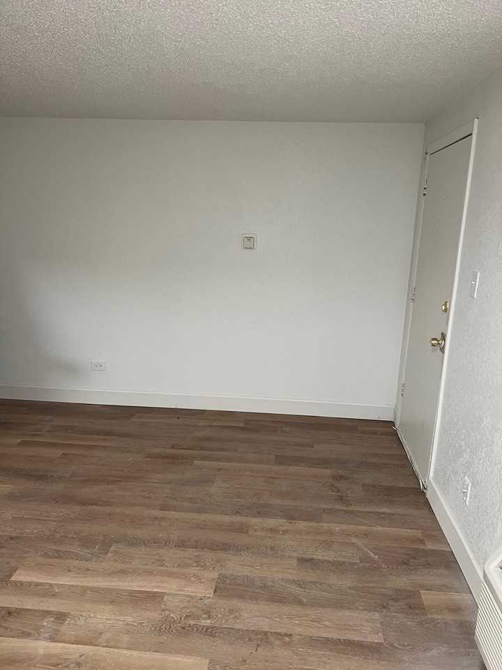 1325 Idalia Court - Photo 5 of 50