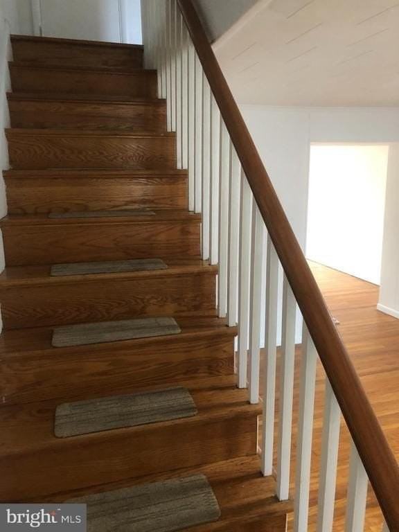 1230 Sycamore Ave - Photo 4 of 13