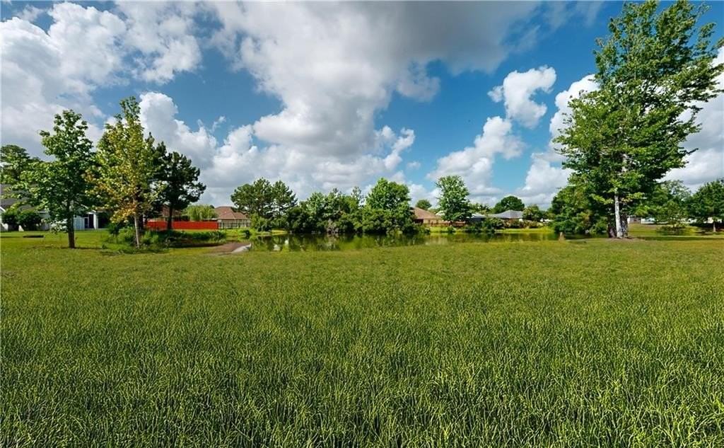 585 Freedom Trl - Photo 6 of 25