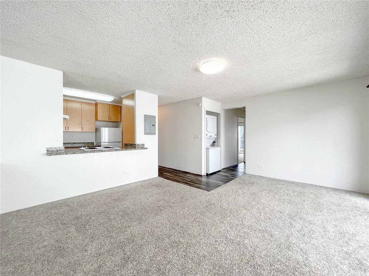 731 Amana St Unit Ph1 #PH1 - Photo 3 of 20