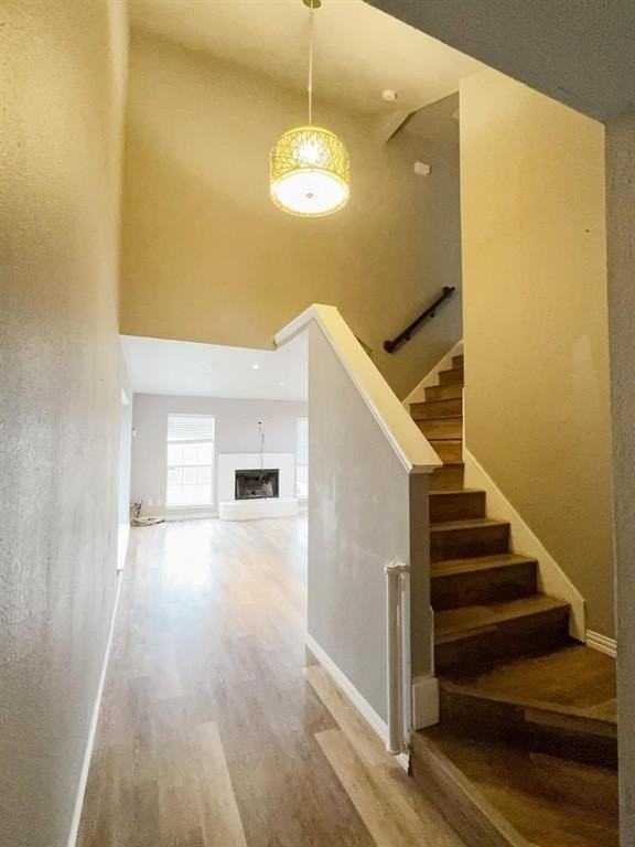 1365 Mimosa Ln - Photo 6 of 14