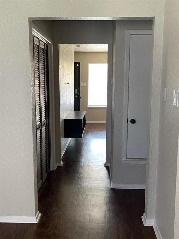 101 Wildwood Ct #C - Photo 5 of 23