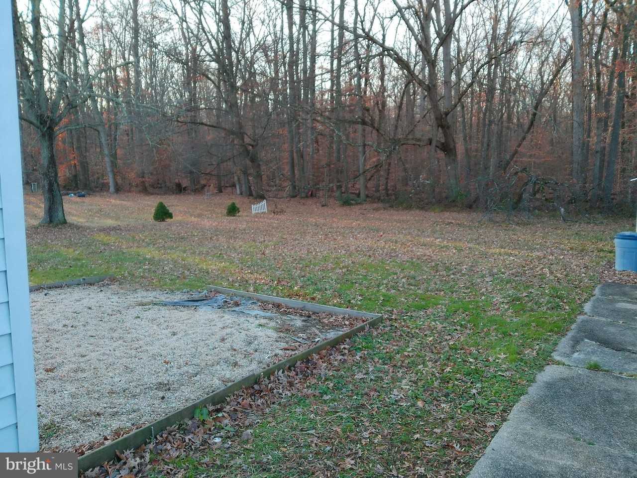 444 Chestnut St - Photo 7 of 18