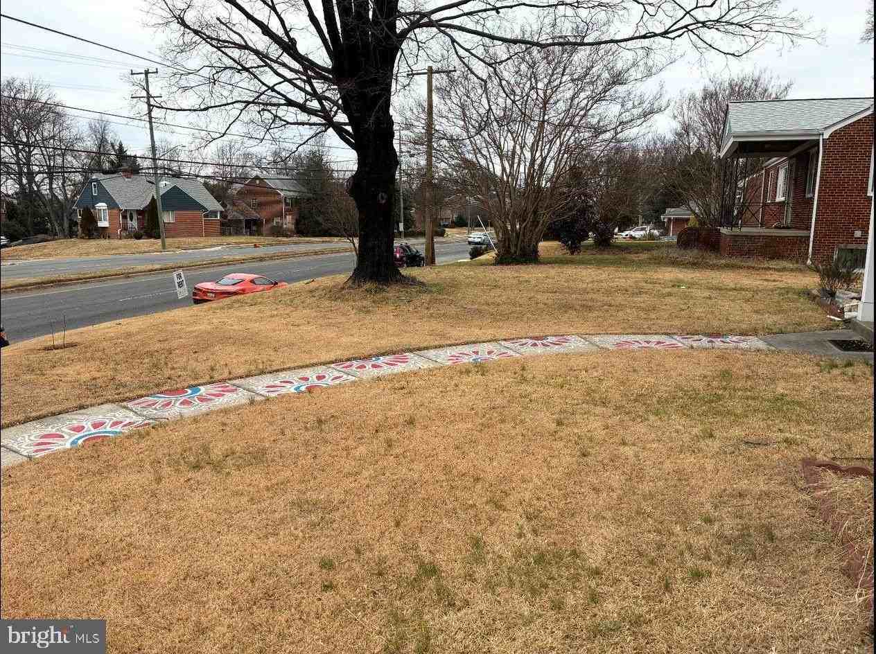 7213 Adelphi Rd - Photo 2 of 22