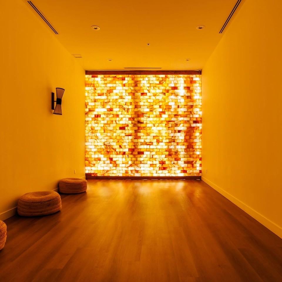 1001 Rue Lucien-L'Allier - Photo 4 of 12