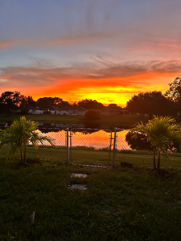 437 Via Palermo Ct - Photo 2 of 14