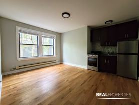 4546 N Damen Ave #207 - Photo 1 of 1