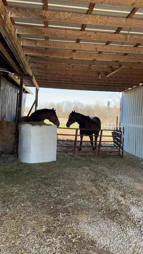 1557 Clifton Road - Black Barn - Photo 3 of 7