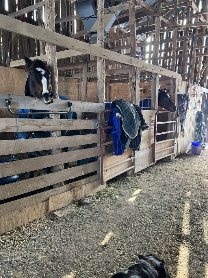 1557 Clifton Road - Black Barn - Photo 5 of 7