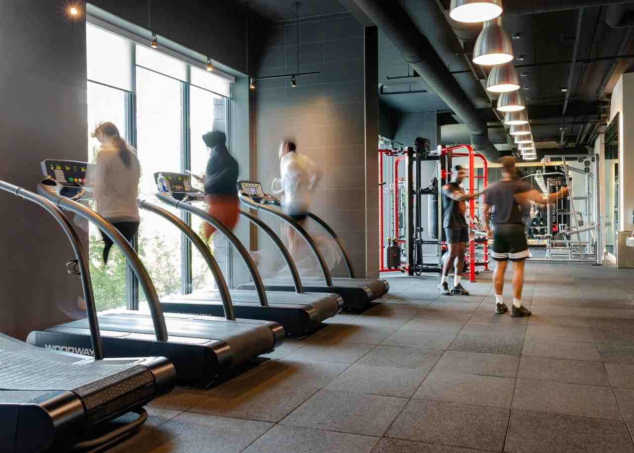 25 Selby Street - Photo 4 of 23