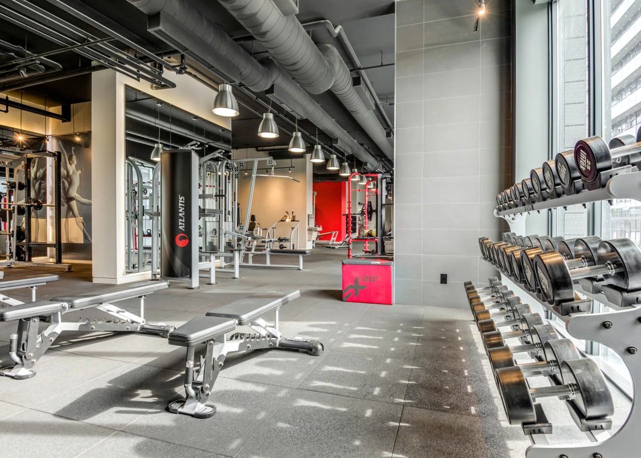 25 Selby Street - Photo 5 of 23