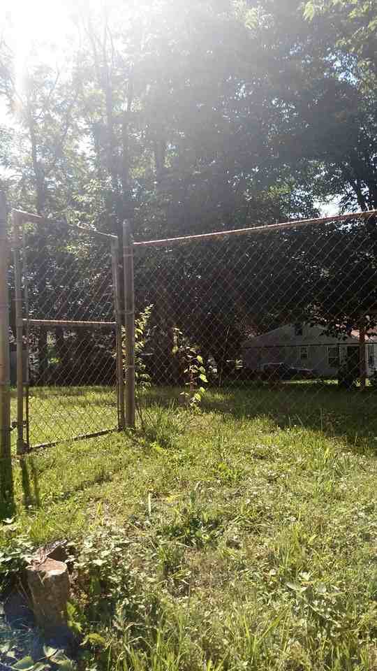 1602 Washington Pike - Photo 2 of 8