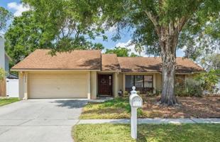 featured image of 12606 Rain Forest St