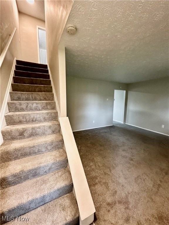 221 Brunswick Dr Apt B #B - Photo 3 of 17