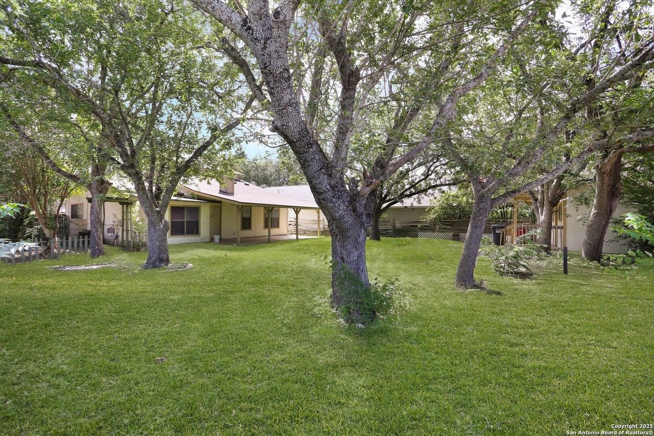 11009 Almond Park - Photo 5 of 20