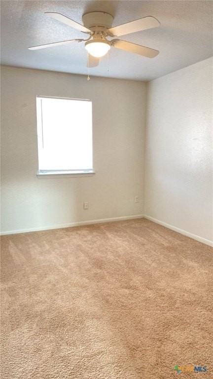 303 North Dr Apt C #C - Photo 4 of 6