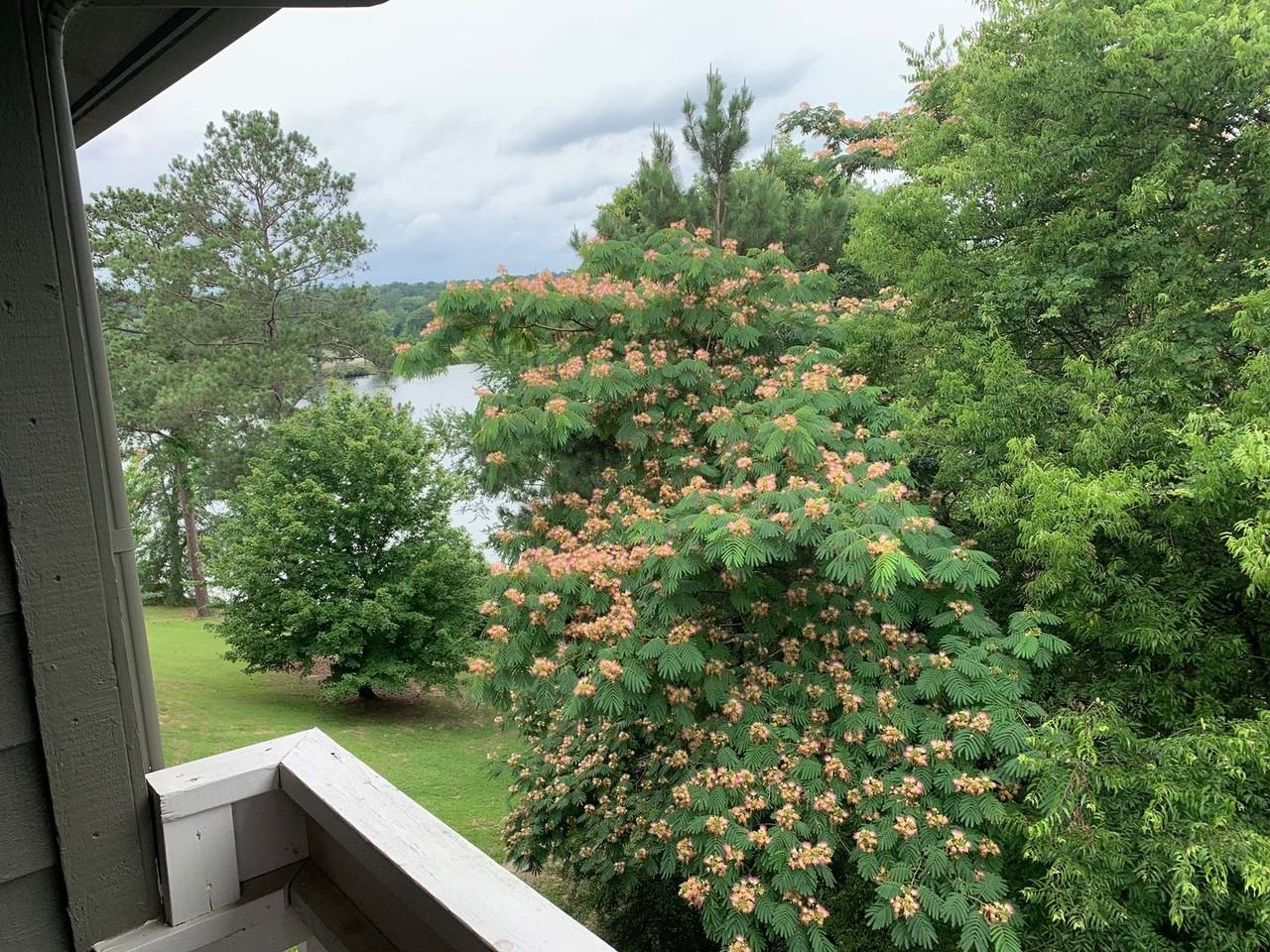 Harbour Club Apartments - Photo 2 of 5