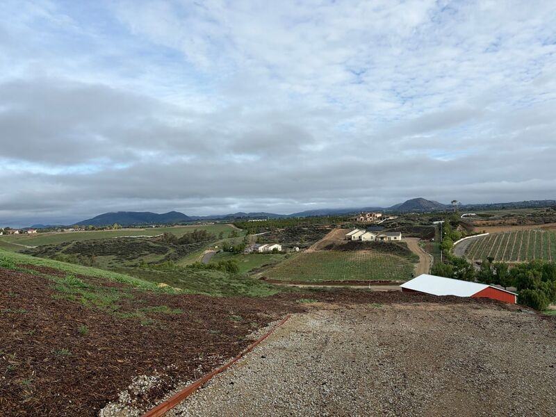 40530 Calle Cancion - Photo 4 of 34