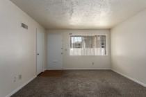 Ashton Court Apts - Photo 5 of 38