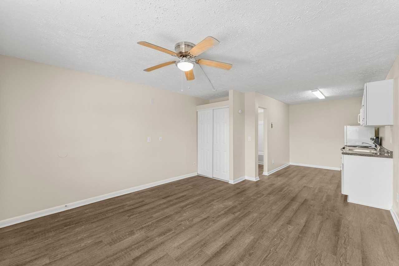 644 West Caladium Circle - Photo 3 of 11