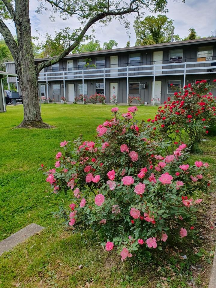 Hillview Apartments - Photo 6 of 11