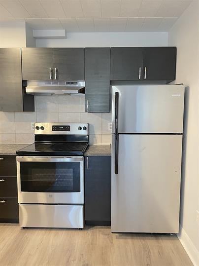 471 Tecumseh Road West - Photo 5 of 22