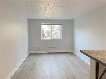 471 Tecumseh Road West - Photo 6 of 22