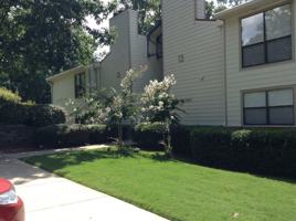 featured image of 808 Gables Dr