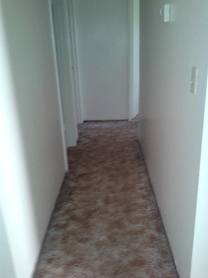 3116 Penny Ln - Photo 4 of 8