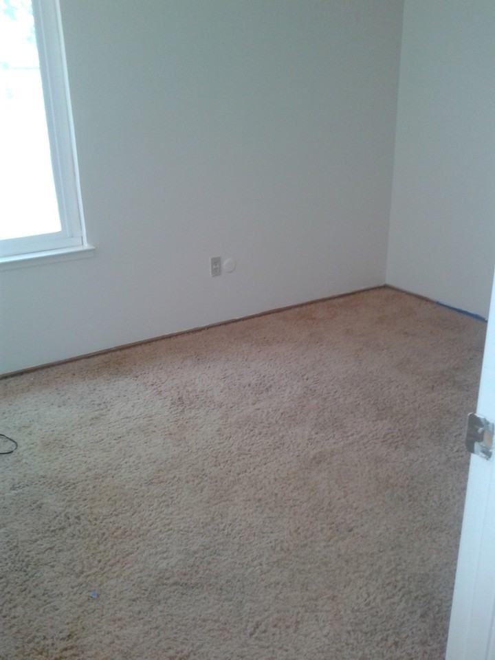 3116 Penny Ln - Photo 5 of 8