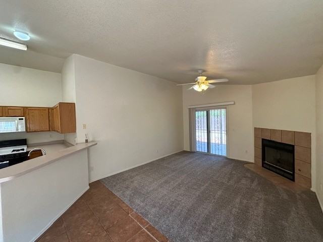 2177 S Saint Suzanne Dr - Photo 4 of 13