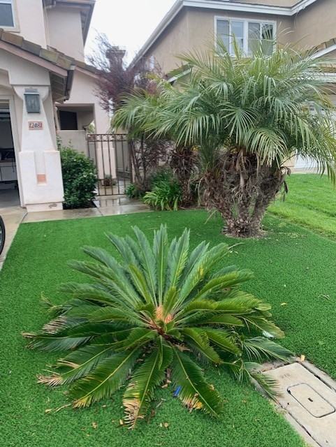 12481 Cavallo St #NA - Photo 6 of 43