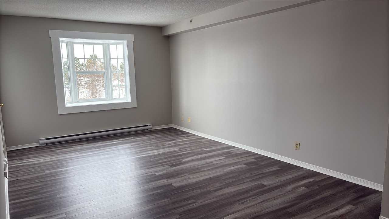 151 Queen St #307 - Photo 4 of 19