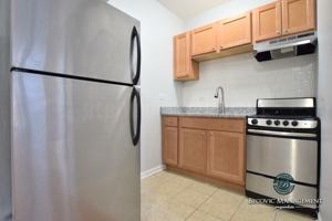 featured image of 1456 W Fargo Ave