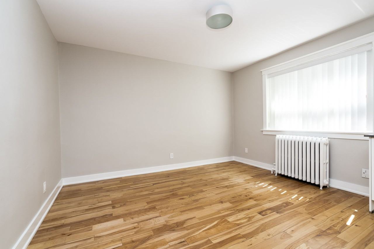 54 - 56 Maitland Street - Photo 5 of 50