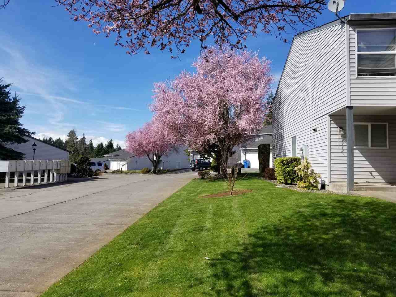 Whipple Creek - Photo 7 of 40