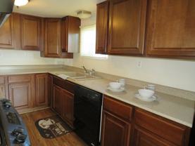 Thunderbird - Photo 1 of 1