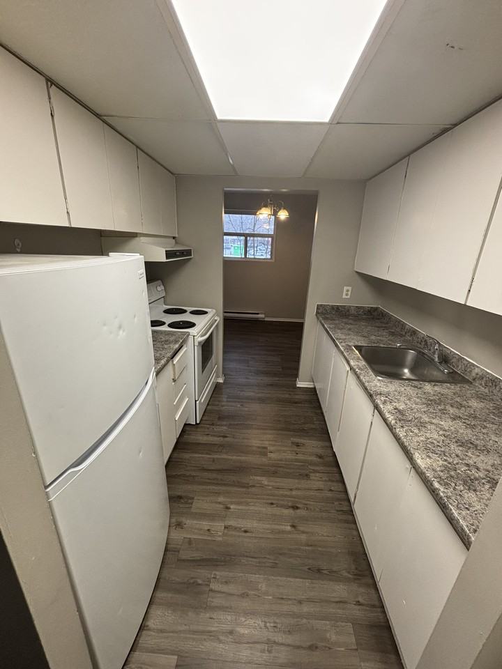 457 Albert St #9 - Photo 3 of 18