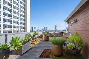 featured image of 345 Taylor Street - Pent House #PH