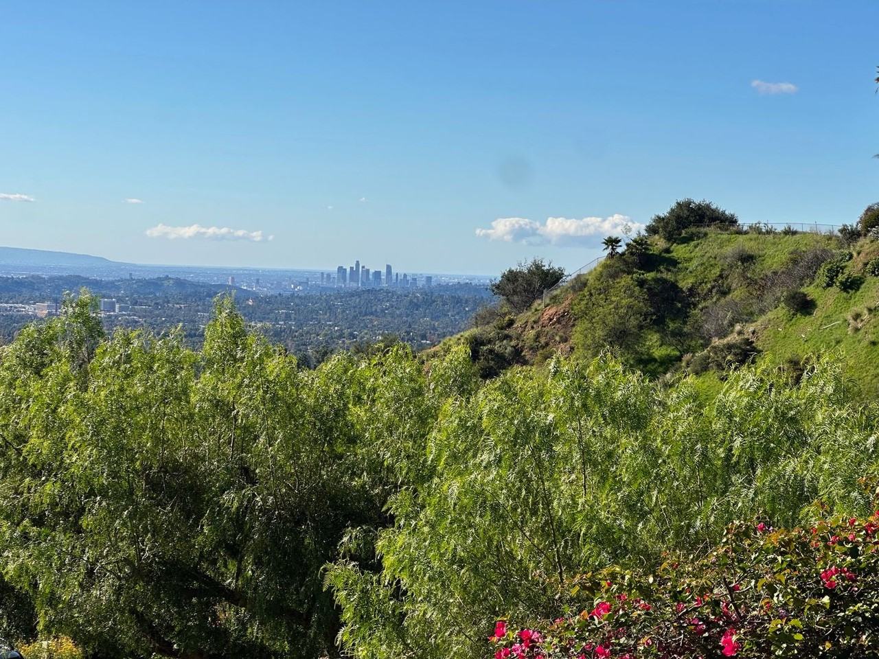 1602 Woodglen Ln - Photo 6 of 20