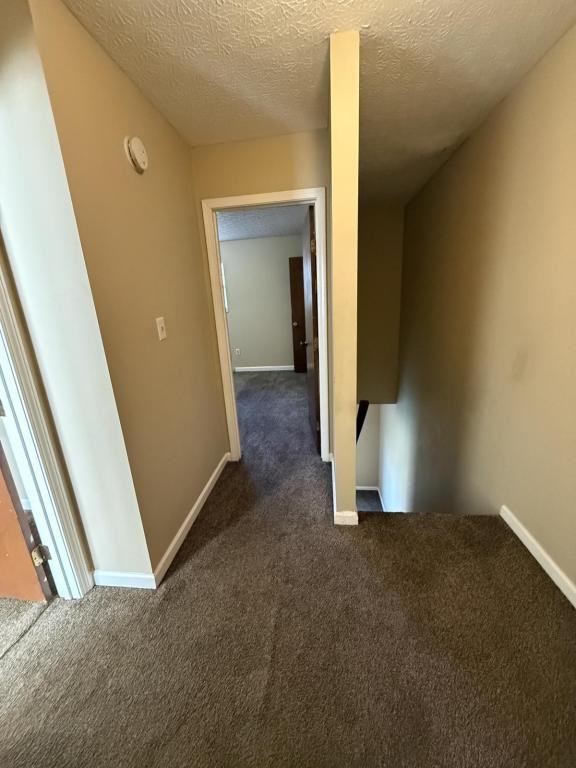 1238 Clear Ridge Ln - Photo 5 of 11