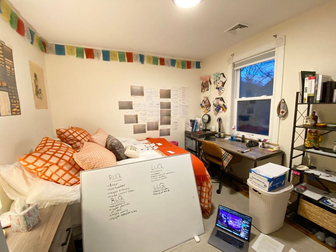 7 Oswald St - Photo 6 of 12