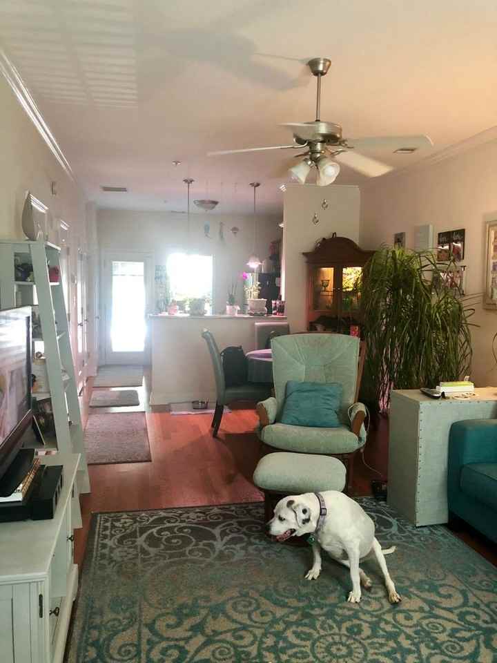 256 Center Park Ln - Photo 2 of 16