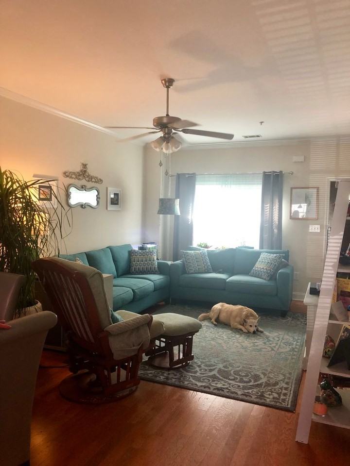 256 Center Park Ln - Photo 3 of 16